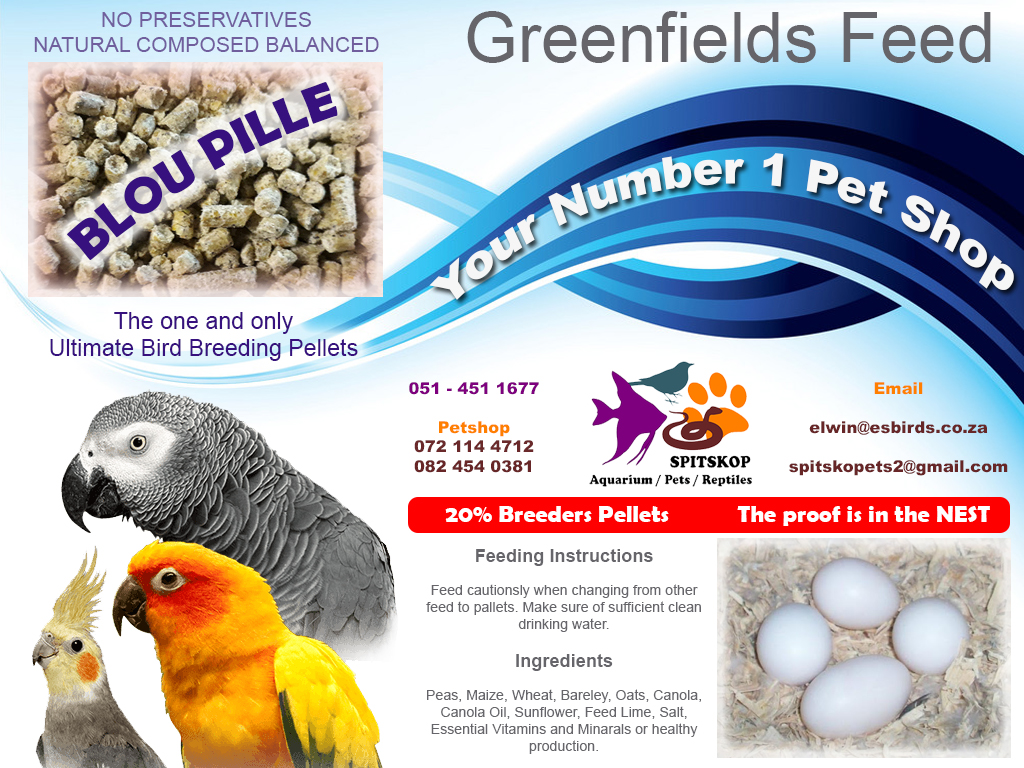 Greenfield Feed
